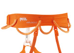 Arnés Petzl Hirundos Naranja